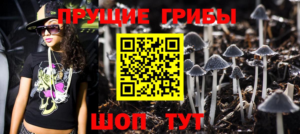 Псилоцибиновые грибы Cubensis  Вход с VPN  купить  цена  Рязань 